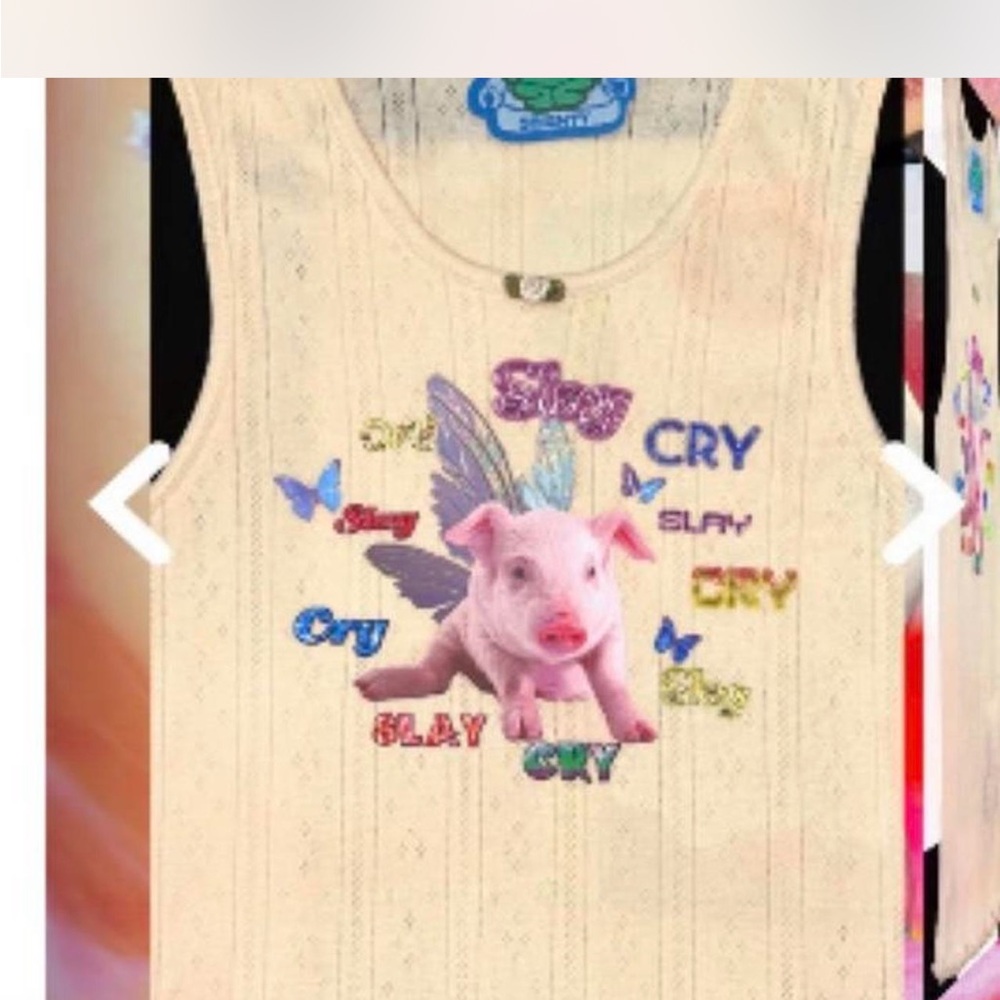 Omighty slay cry pig tank top